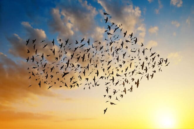 Complex, large-scale data center migration to new infrastructure goes smoothly